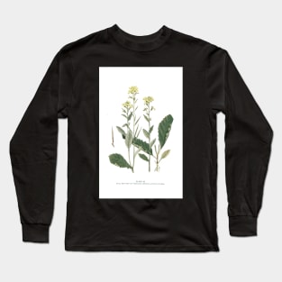 Wild Mustard Long Sleeve T-Shirt